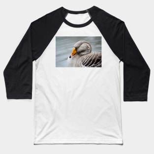 Greylag Goose Baseball T-Shirt
